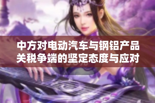 中方对电动汽车与钢铝产品关税争端的坚定态度与应对措施