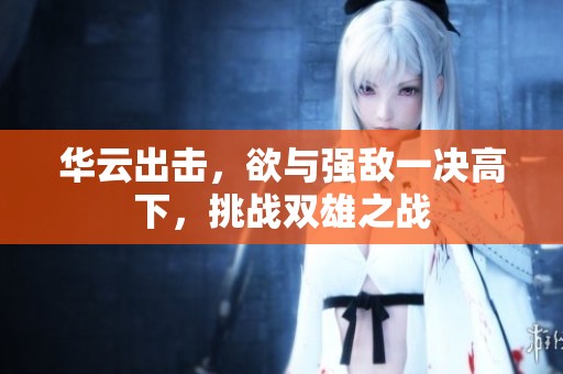 华云出击，欲与强敌一决高下，挑战双雄之战