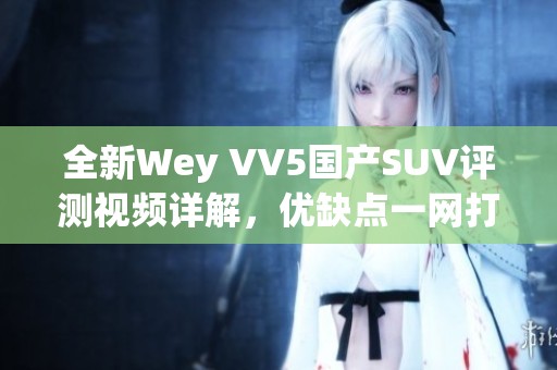 全新Wey VV5国产SUV评测视频详解，优缺点一网打尽