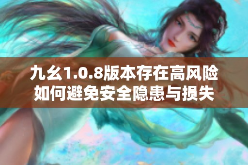 九幺1.0.8版本存在高风险如何避免安全隐患与损失