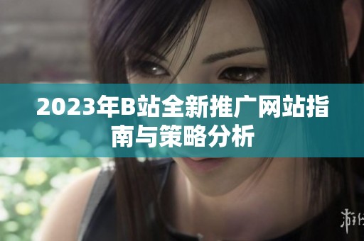 2023年B站全新推广网站指南与策略分析