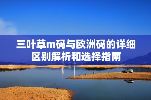 三叶草m码与欧洲码的详细区别解析和选择指南
