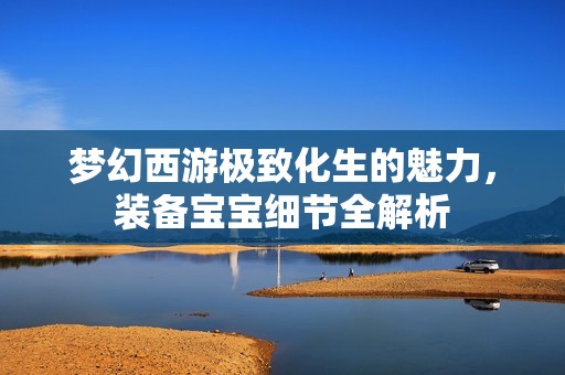 梦幻西游极致化生的魅力，装备宝宝细节全解析