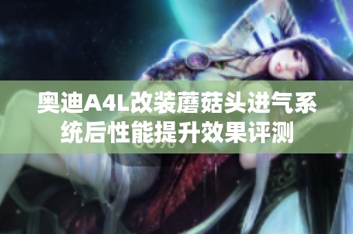 奥迪A4L改装蘑菇头进气系统后性能提升效果评测