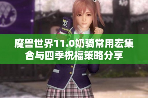 魔兽世界11.0奶骑常用宏集合与四季祝福策略分享