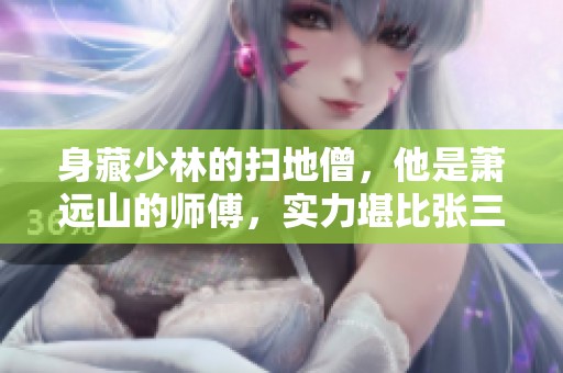 身藏少林的扫地僧，他是萧远山的师傅，实力堪比张三丰