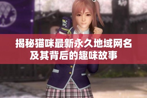 揭秘猫咪最新永久地域网名及其背后的趣味故事