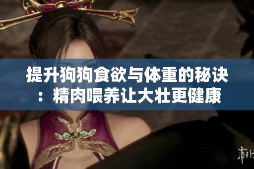 提升狗狗食欲与体重的秘诀：精肉喂养让大壮更健康
