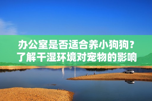 办公室是否适合养小狗狗？了解干湿环境对宠物的影响