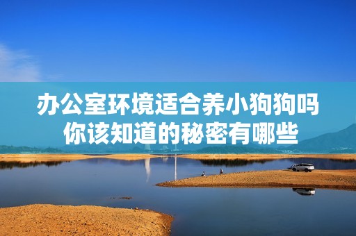 办公室环境适合养小狗狗吗 你该知道的秘密有哪些