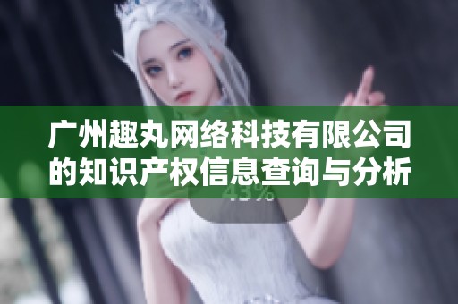 广州趣丸网络科技有限公司的知识产权信息查询与分析