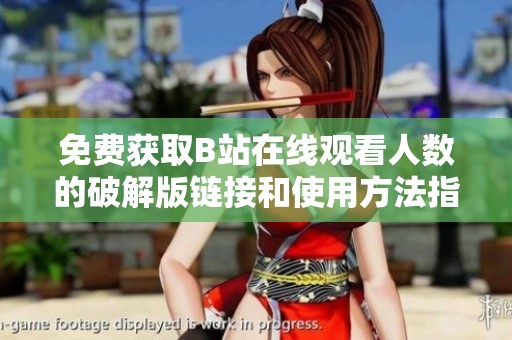 免费获取B站在线观看人数的破解版链接和使用方法指南