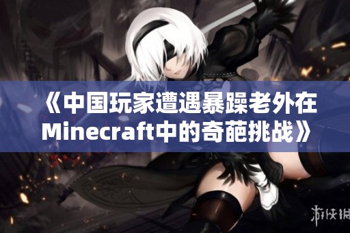 《中国玩家遭遇暴躁老外在Minecraft中的奇葩挑战》