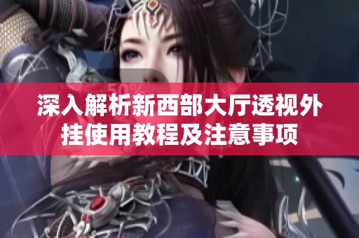 深入解析新西部大厅透视外挂使用教程及注意事项