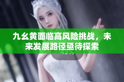 九幺黄面临高风险挑战，未来发展路径亟待探索