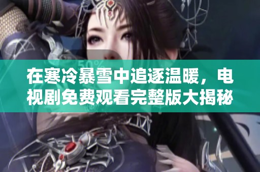 在寒冷暴雪中追逐温暖，电视剧免费观看完整版大揭秘