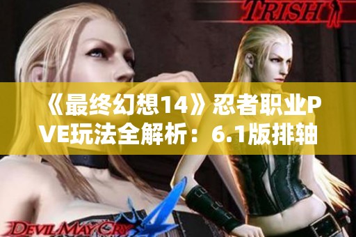 《最终幻想14》忍者职业PVE玩法全解析：6.1版排轴技能详解