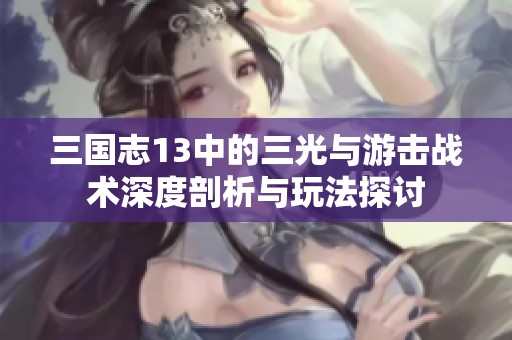 三国志13中的三光与游击战术深度剖析与玩法探讨