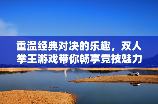 重温经典对决的乐趣，双人拳王游戏带你畅享竞技魅力