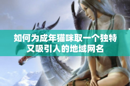 如何为成年猫咪取一个独特又吸引人的地域网名