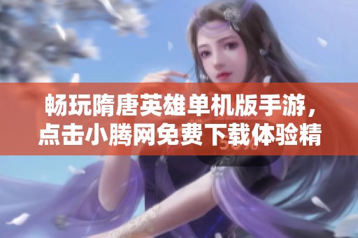 畅玩隋唐英雄单机版手游，点击小腾网免费下载体验精彩战斗