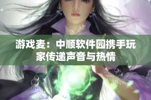 游戏麦：中顺软件园携手玩家传递声音与热情