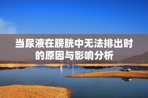 当尿液在膀胱中无法排出时的原因与影响分析