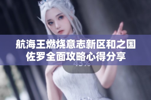 航海王燃烧意志新区和之国佐罗全面攻略心得分享