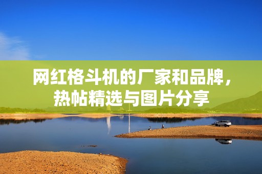 网红格斗机的厂家和品牌，热帖精选与图片分享
