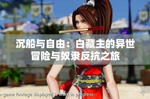 沉船与自由：白藏主的异世冒险与奴隶反抗之旅