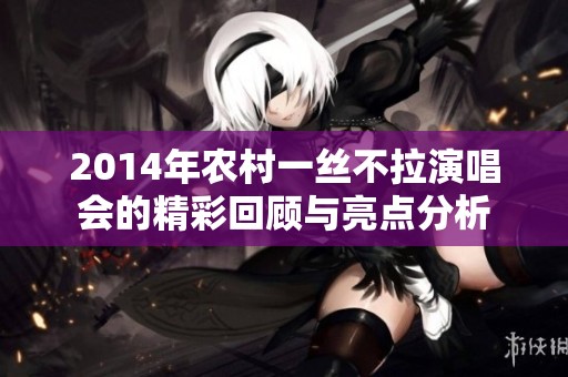 2014年农村一丝不拉演唱会的精彩回顾与亮点分析