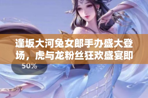 逢坂大河兔女郎手办盛大登场，虎与龙粉丝狂欢盛宴即将开启！