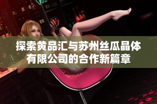 探索黄品汇与苏州丝瓜晶体有限公司的合作新篇章