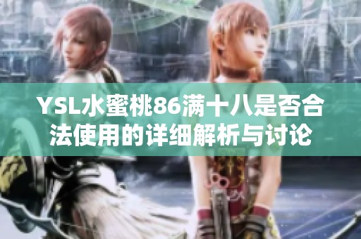 YSL水蜜桃86满十八是否合法使用的详细解析与讨论