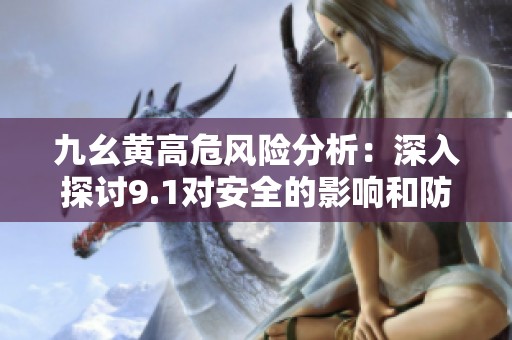 九幺黄高危风险分析：深入探讨9.1对安全的影响和防范措施