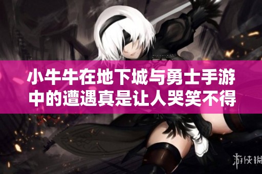 小牛牛在地下城与勇士手游中的遭遇真是让人哭笑不得！
