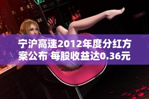 宁沪高速2012年度分红方案公布 每股收益达0.36元