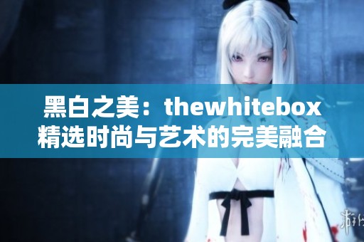 黑白之美：thewhitebox精选时尚与艺术的完美融合