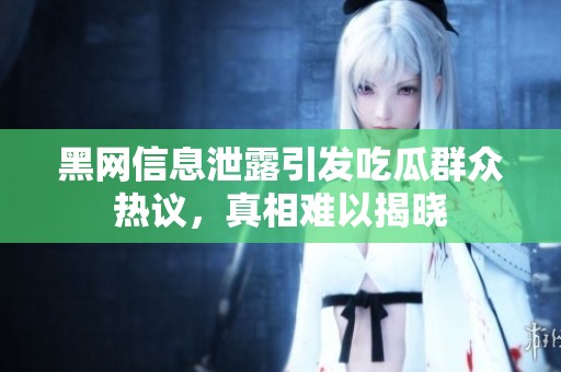 黑网信息泄露引发吃瓜群众热议，真相难以揭晓