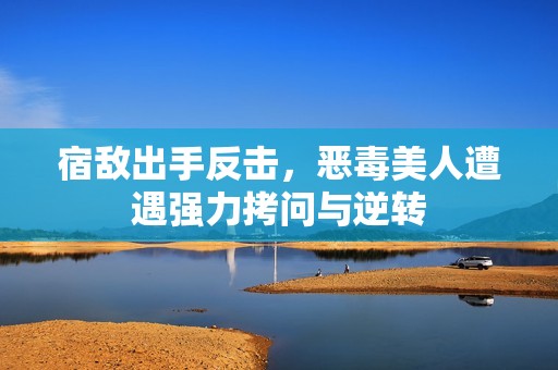 宿敌出手反击，恶毒美人遭遇强力拷问与逆转