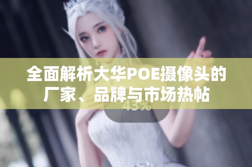 全面解析大华POE摄像头的厂家、品牌与市场热帖