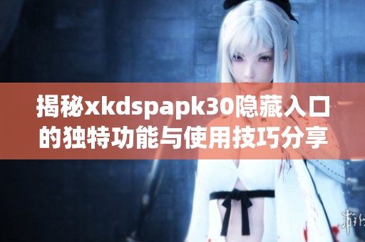 揭秘xkdspapk30隐藏入口的独特功能与使用技巧分享