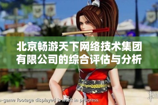 北京畅游天下网络技术集团有限公司的综合评估与分析报告