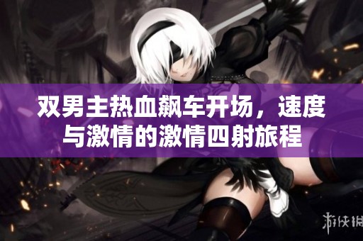 双男主热血飙车开场，速度与激情的激情四射旅程
