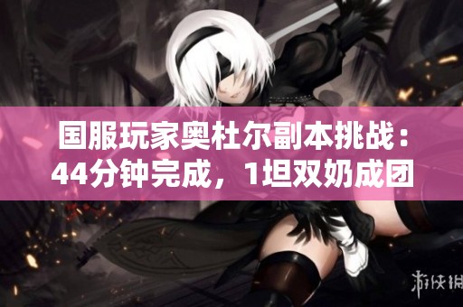 国服玩家奥杜尔副本挑战：44分钟完成，1坦双奶成团队亮点