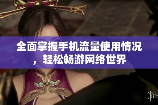 全面掌握手机流量使用情况，轻松畅游网络世界
