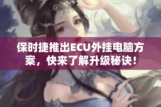 保时捷推出ECU外挂电脑方案，快来了解升级秘诀！