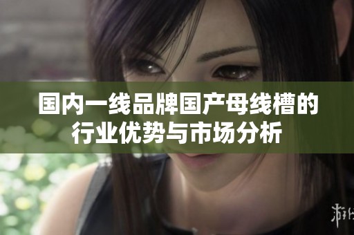 国内一线品牌国产母线槽的行业优势与市场分析