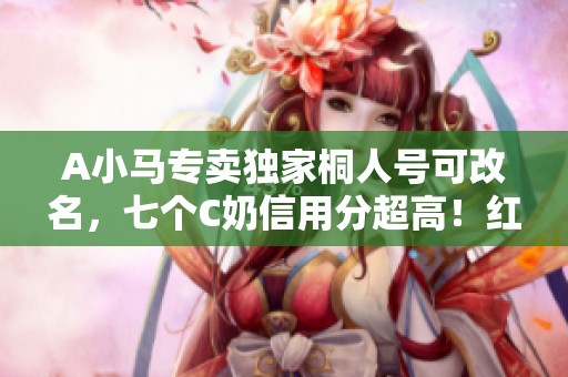 A小马专卖独家桐人号可改名，七个C奶信用分超高！红10狂战角色重6.2万