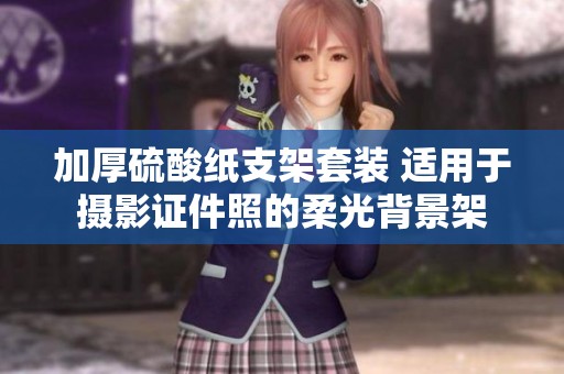 加厚硫酸纸支架套装 适用于摄影证件照的柔光背景架
